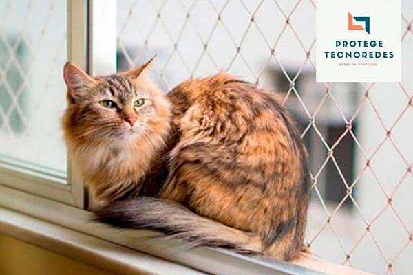 Redes de Proteção para Animais